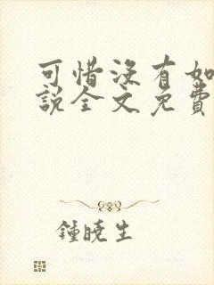 可惜没有如果小说全文免费阅读