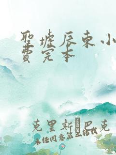 圣墟辰东小说免费完本