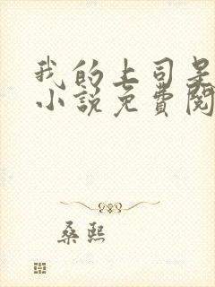 我的上司是女王小说免费阅读