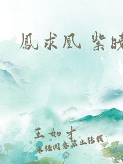 凤求凰 紫晓