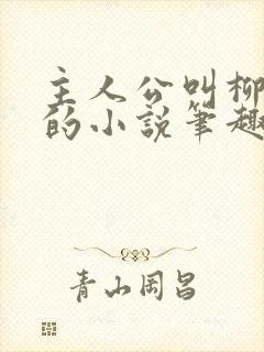 主人公叫柳无邪的小说笔趣阁完结篇