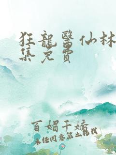 狂龙医仙林阳全集免费