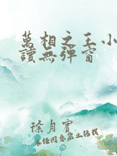 万相之王小说阅读无弹窗
