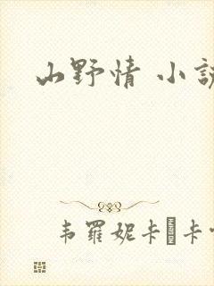 山野情 小说