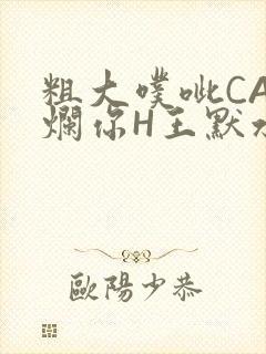 粗大噗呲CAO烂你H王默水王子
