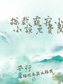 总裁霸宠小娇妻 小说免费阅读