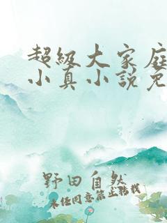 超级大家庭女友小真小说免费阅读