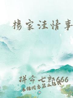 杨家洼情事 续