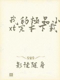 我的极品小姨txt完本下载