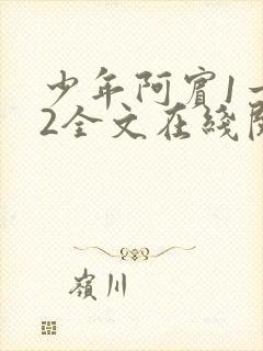 少年阿宾1一72全文在线阅读