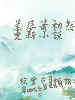 叶辰萧初然最快更新小说