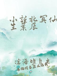 小说北冥仙帝重生叶辰