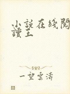 小说在线阅读阅读王