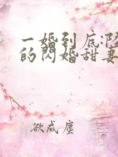 一婚到底:陆少的闪婚甜妻