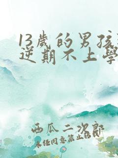 13岁的男孩叛逆期不上学怎么办