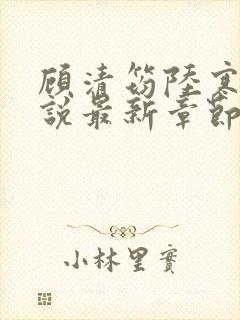 顾清筠陆寒爵小说最新章节免费阅读