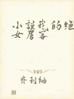小说我的绝色美女房客