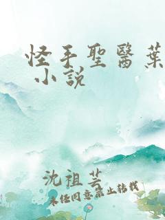 怪手圣医叶皓轩 小说