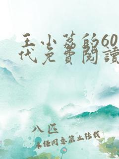 王小荔的60年代免费阅读全文最新章节