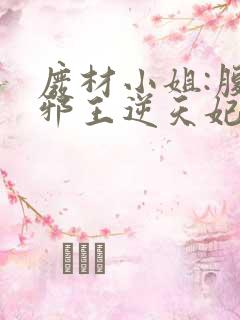 废材小姐:腹黑邪王逆天妃 叶轻轻