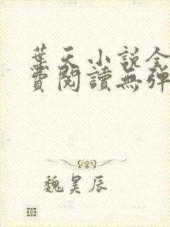叶天小说全文免费阅读无弹窗
