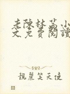 老陈林茜小说全文免费阅读