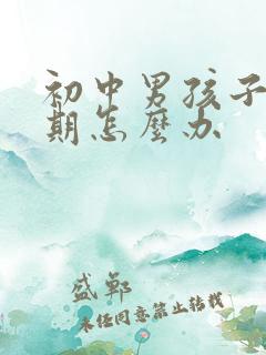 初中男孩子叛逆期怎么办
