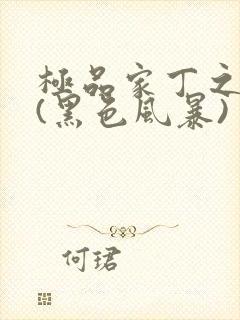 极品家丁之征服(黑色风暴)