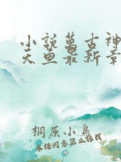 小说万古神帝飞天鱼最新章节目录