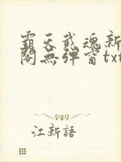 霸天武魂新笔趣阁无弹窗txt