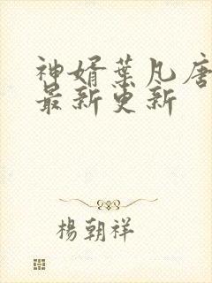 神婿叶凡唐若雪最新更新