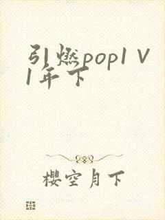 引燃pop1∨1年下
