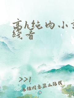 高h纯肉小说在线看