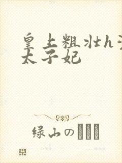 皇上粗壮h灌满太子妃
