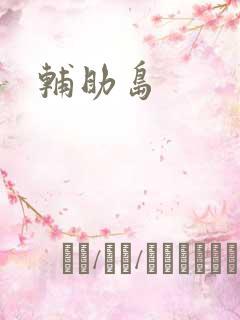 辅助岛
