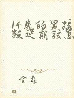 14岁的男孩子叛逆期该怎么沟通