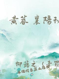 黄蓉 襄阳秘史