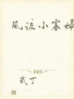 风流小寡妇小说