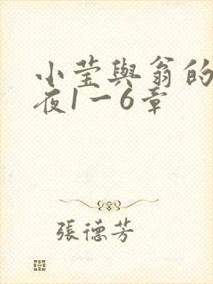 小莹与翁的销魂夜1一6章