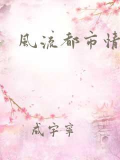风流都市情