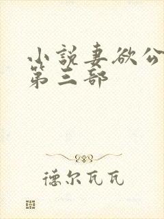 小说妻欲公与媳第三部