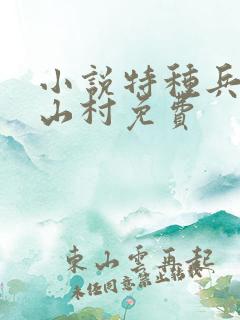 小说特种兵王在山村免费