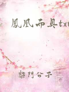 凤凰面具txt