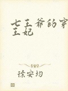 七王爷的穿越七王妃