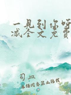 一见到你呀无删减全文免费阅读
