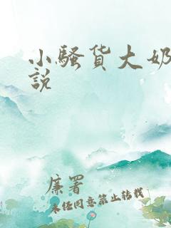 小骚货大奶子小说