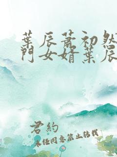 叶辰萧初然 上门女婿叶辰