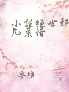 小说绝世邪医林凡叶惜