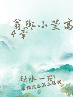 翁与小莹高潮24章