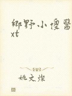乡野小傻医 txt